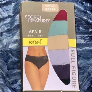 Size 4X/14 Ladies Full Figure Briefs